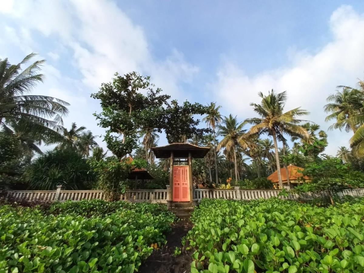Bali North Beach B&B Tianyar Kültér fotó
